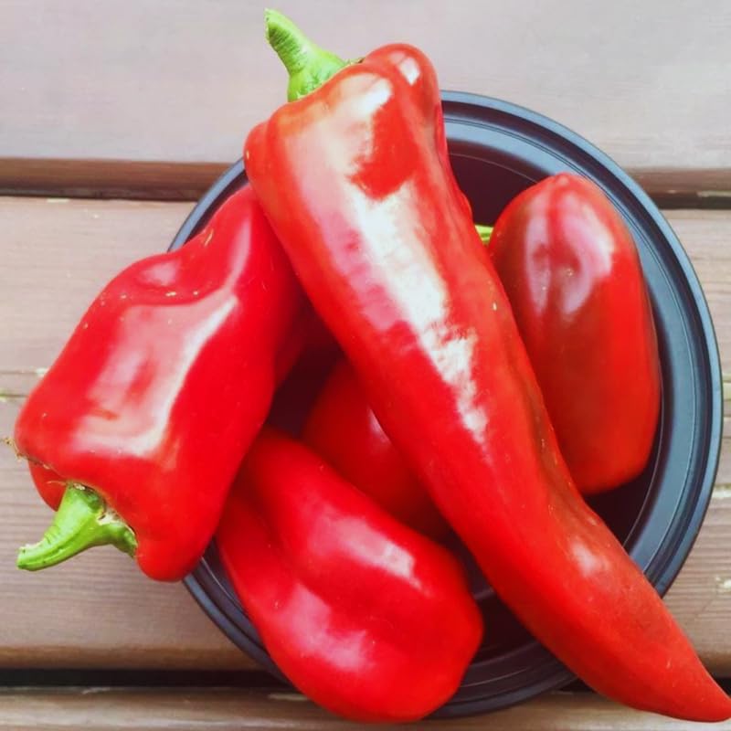 6 Red Pepper Live Plants (6 Count)