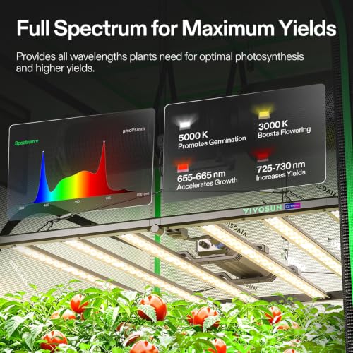 4x4 Grow Tent Kit w (4x4)