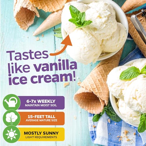 Ice Cream Banana Tree (Ice Cream)