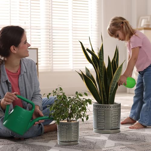 Indoor Outdoor Ceramic Plant Pots (6 inch / Gray)