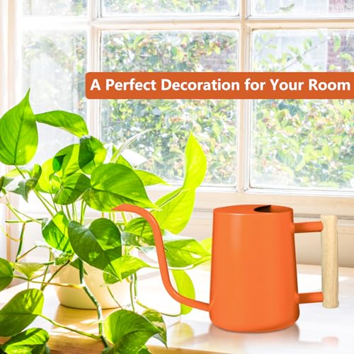 Watering Can Indoor Plants (Orange)