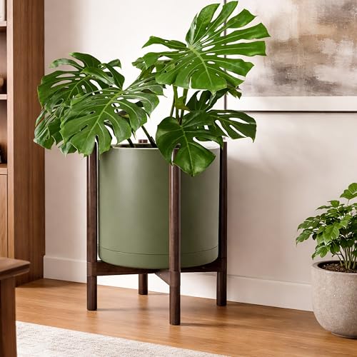 Plastic Pot with Walnut Wood Stand (Olive Pot + Walnut Color Stand / 16 Inch)