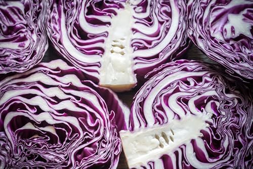 200+ Red Acre Cabbage Seeds for Planting Outdoors