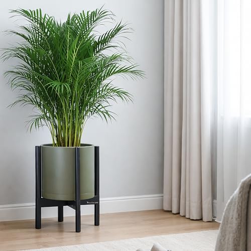 Plastic Pot with Ebony Wood Stand (Olive Pot + Ebony Stand / 12 Inch)