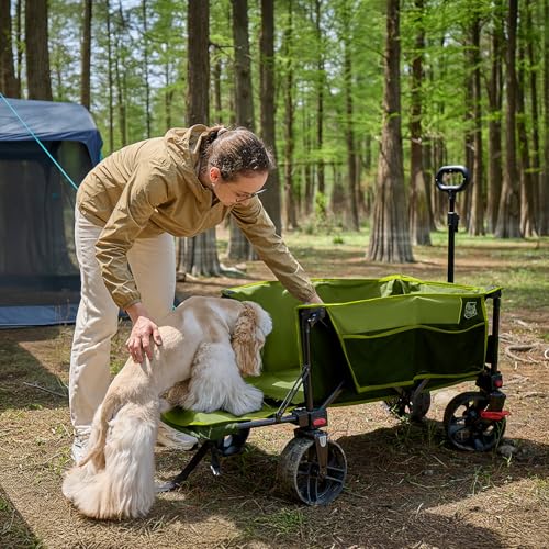 47" L Collapsible Wagon Cart with Tailgate & Brake (Green / 250L)