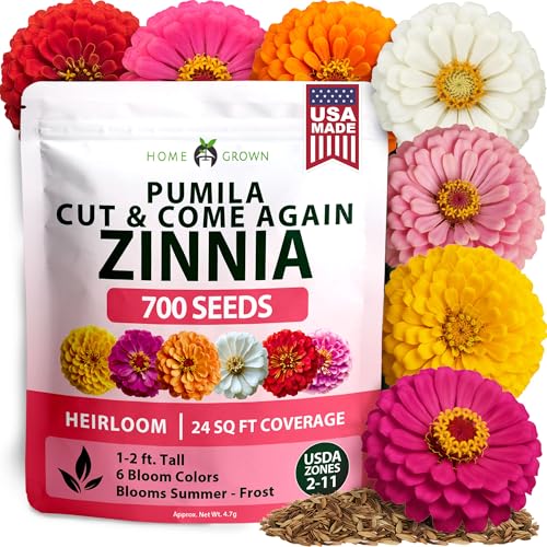 Pumila Dwarf Zinnia Mix 700 Flower Seeds Zinnia elegans