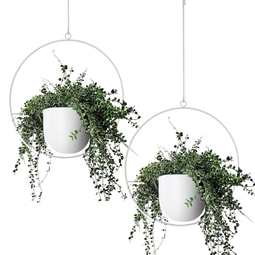 2 Pack Hanging Planters for Indoor Outdoor Plants Modern Metal Plant Hangers (2 Count)