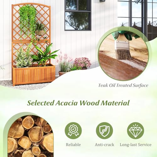 Solid Acacia Wood Planter Box with Trellis (Orange / 32"Lx16"Wx63"H)