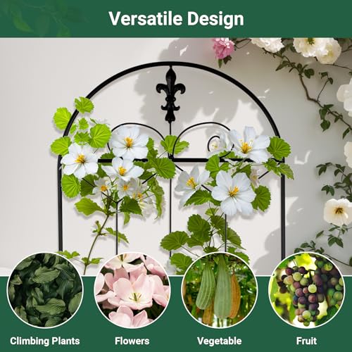 2 Pack Metal Garden Trellis Outdoor
