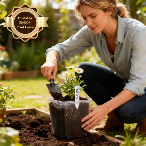 5.5 Inch Clear Square Nursery Pots with Drainage & Labels (Clear Pot+labels / 5.5Inch)