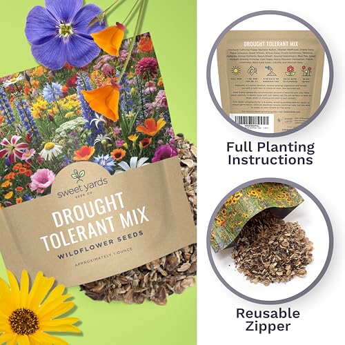 Drought Tolerant Wildflowers Mix