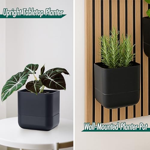 6.5 Inch Wall Mounted Self