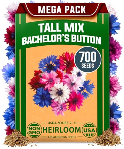 Bachelor Button Tall Mix 700+ Flower Seeds Centaurea cyanus