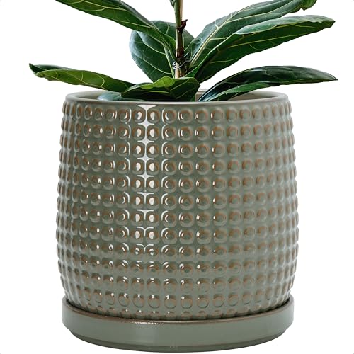 Beaded Ceramic Pot with Saucer (10.2 Inch / Olive)