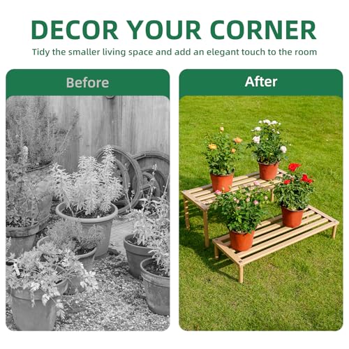 Metal Plant Stand