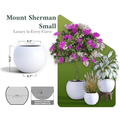 Fiberstone Sphere Planter for Olive Trees (White / Small 12.6''D x 10''H)