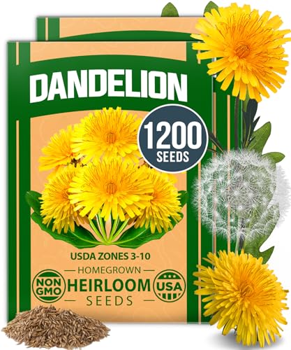 Dandelion Seeds
