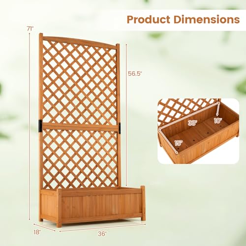 71" Raised Garden Bed with Trellis & Garden Box (2 Count)