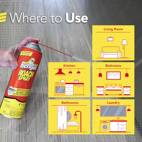 Roach Spray Dry Aerosol Indoor Roach Killer (9 Ounce)