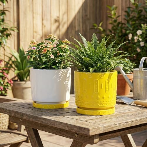 Plant Trays for Pots (5.6 Inch (2 Pack) / Yellow)