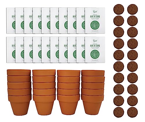 Seeds Lavender Grow Kit 20 (20 Count)