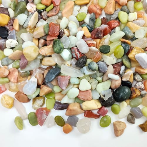 10 lbs Small Succulent Rocks