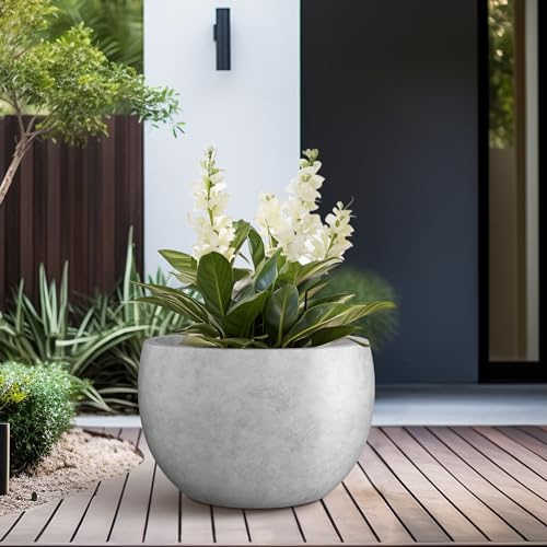 Accent Round Bowl Pale Gray Concrete Planter 15.7" Dia (Natural Concrete / 15.7" d)