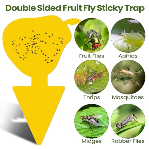 200 Sheets Fruit Fly Sticky Traps for Fruit Fly Gnat Trap for House Indoors Sticky Traps Catcher for Gnats Fungus Gnats Mosquito Catcher for Kitchen Outdoor Plants (Yellow, Green / Cute Style)