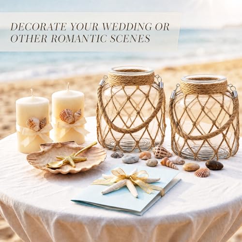 Set of 2 Clear Coastal Glass Vases (Clear / 6.5 x 5.5 Inches)