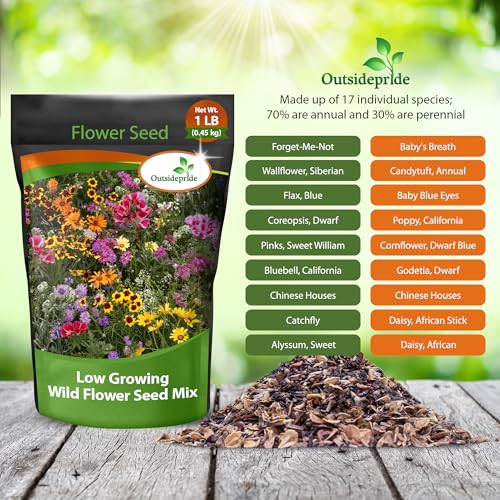 Low Growing Wildflower Seeds (16 Ounce)