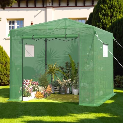 10X10 FT Pop Up Greenhouse (10X10 FT)