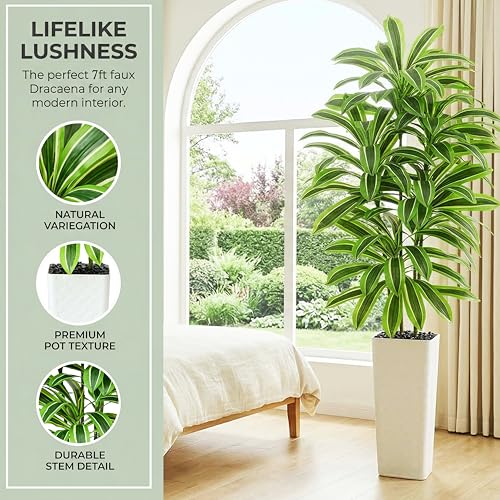 Artificial Dracaena Tree (Light Green – White Pot / 7FT)