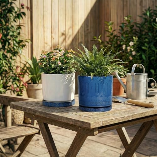 2 Pack 5.6 Inch Flower Pot Saucers (5.6 Inch (2 Pack) / Blue)