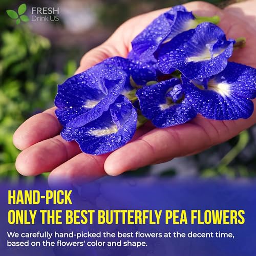 Premium 75 Bags Butterfly Pea Flowers (75 TEA BAGS)