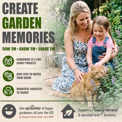 Catnip Seeds to Plant Heirloom Non (2 Packs)