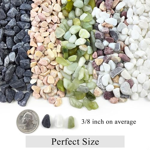 2 lbs Black Gravel for Plants (32 Ounce)