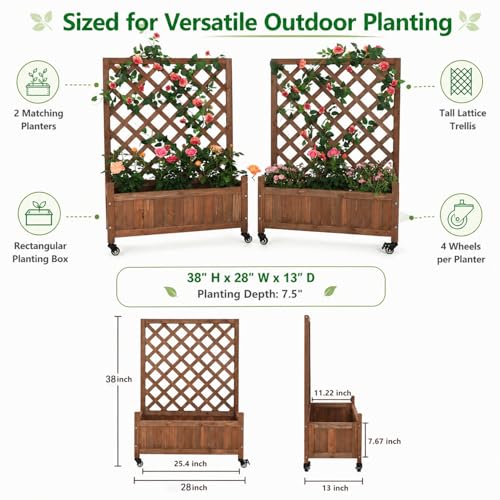 2 Trellis Raised Garden Bed with Wheels (Dark Brown / H38 × W28 x D13 in)