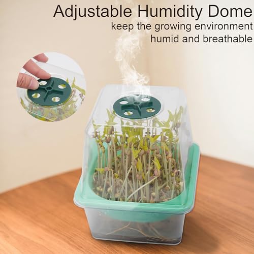 Microgreen Growing Trays (6 Pack-clear Base)