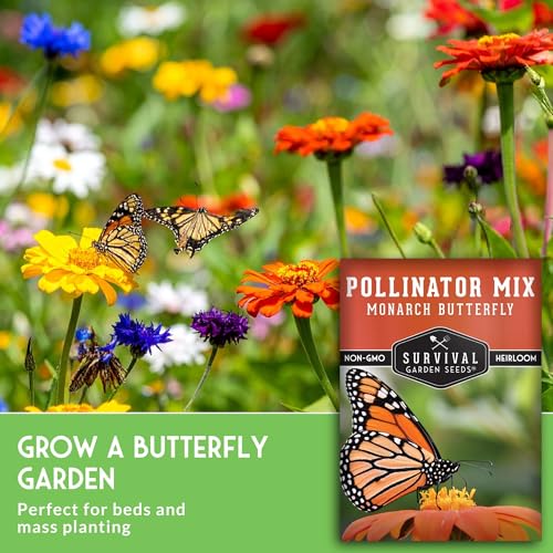 Butterfly and Bee Flower Seeds for Planting
