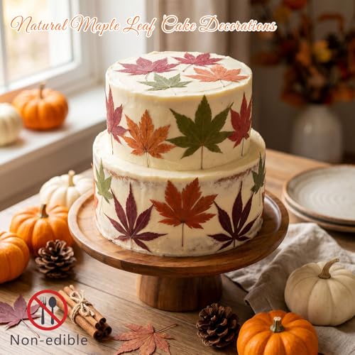 48 Pcs Dried Pressed Fall Maple Leaf for Cake Decorating (Maple Leaf)