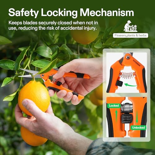 6.5 Inch Garden Scissors (6 Count)