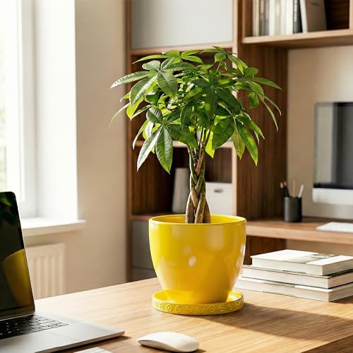 Plant Trays for Pots 5.6 Inch (5.6" / Yellow)