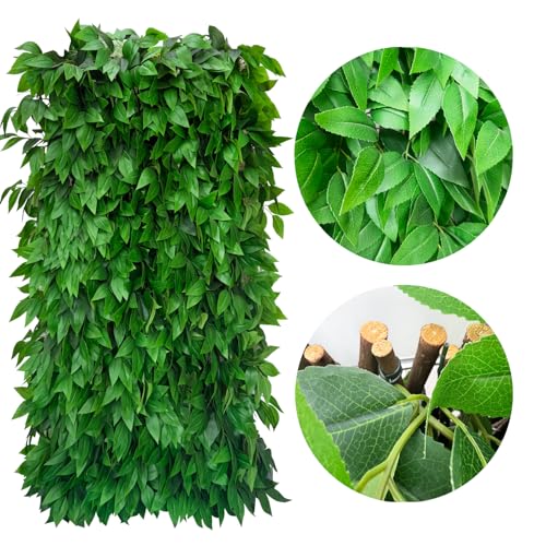 Expandable Fence Privacy Screen for Balcony Patio Outdoor (Willow Leaf)