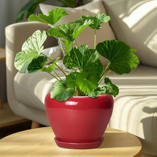Ceramic Planter for Indoor Plants (8 Inch / Glossy Red)