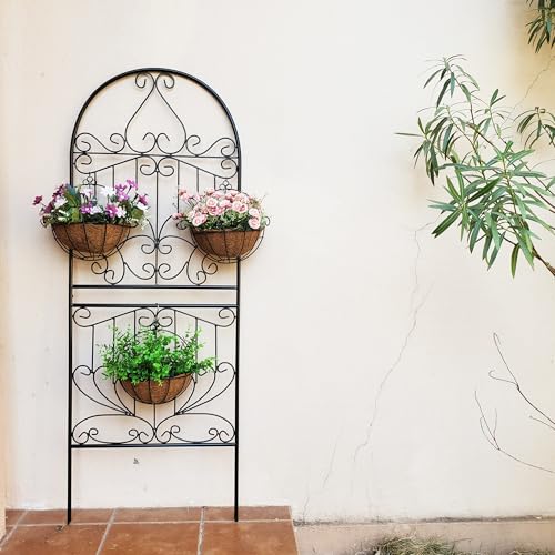 Trellis for Climbing Plants 59" H x 22" W Metal Unique Design Decorative Garden Structure Weather