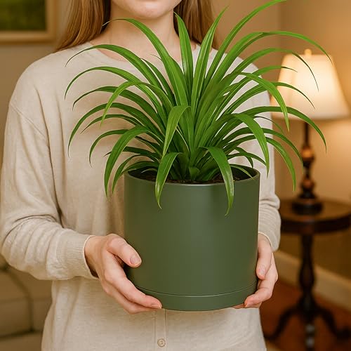 Plastic Planter Pot with Saucer (8 Inch / Olive)