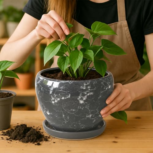 8 Inch Plant Pots (Gemstone Gray / 8 Inch)