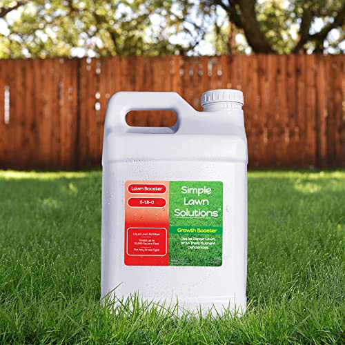 Extreme Grass Growth Lawn Booster (320 Fl Oz)