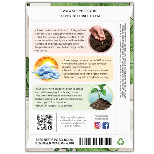 Sorrel Seeds to Plant Heirloom & Non (5 Packs)