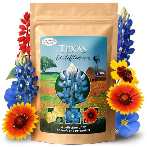Texas Wildflower Seed Mix